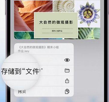 七台河apple维修中心分享iPhone文件应用中存储和找到下载文件