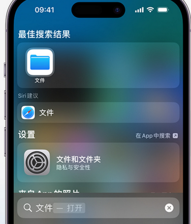 七台河apple维修中心分享iPhone文件应用中存储和找到下载文件 