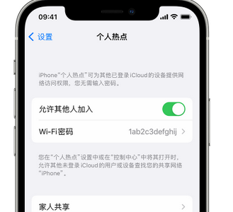 七台河apple服务站点分享iPhone上个人热点丢失了怎么办 