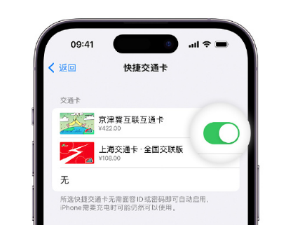 七台河apple维修点分享iPhone上更换Apple Pay快捷交通卡手绘卡面 