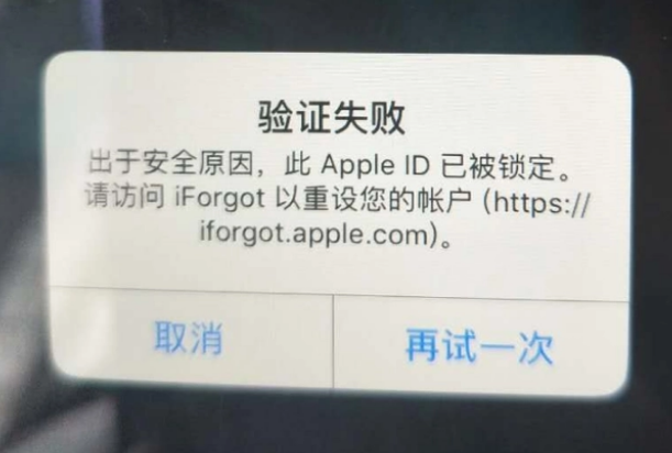 七台河iPhone维修分享iPhone上正常登录或使用AppleID怎么办 