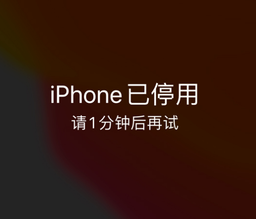 七台河苹果手机维修分享:iPhone 显示“不可用”或“已停用”怎么办？还能保留数据吗？ 