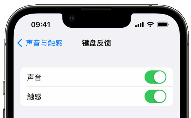 七台河苹果手机维修分享iPhone 14触感键盘使用方法 