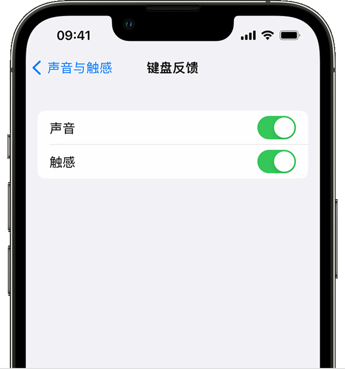 七台河苹果14维修店分享如何在 iPhone 14 机型中使用触感键盘 