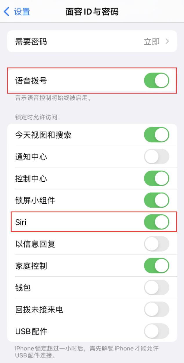 七台河苹果维修网点分享不解锁 iPhone 的情况下通过 Siri 拨打电话的方法 