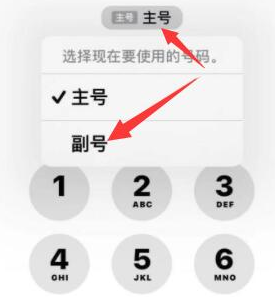 七台河苹果14维修店分享iPhone 14 Pro Max使用副卡打电话的方法 