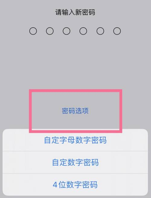 七台河苹果14维修分享iPhone 14plus设置密码的方法 