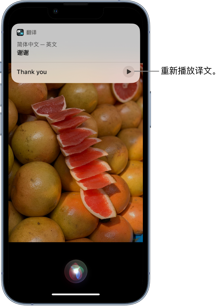 七台河苹果14维修分享 iPhone 14 机型中使用 Siri：了解 Siri 能帮你做什么 