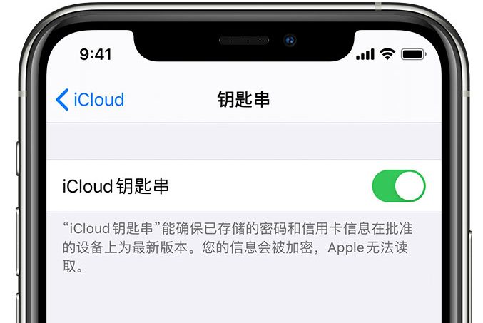 七台河苹果手机维修分享在 iPhone 上开启 iCloud 钥匙串之后会储存哪些信息 