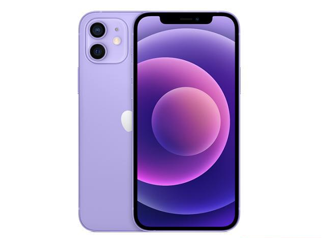 七台河苹果手机维修分享现阶段要不要入手紫色版iPhone12 